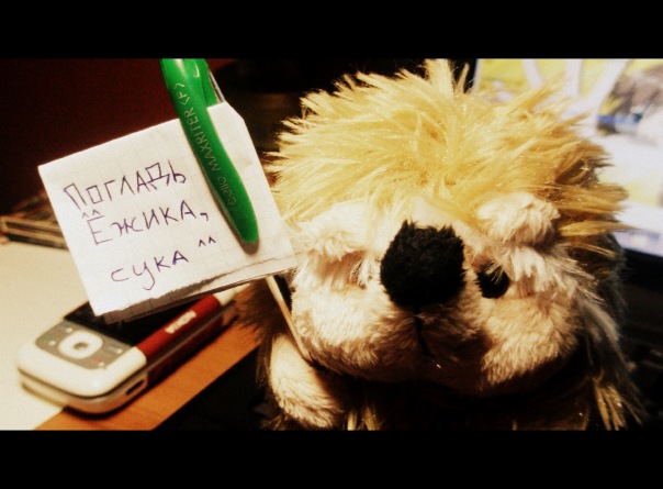 №6, Лера Карнаух, Запорожье №6, Лера Карнаух, Запорожье