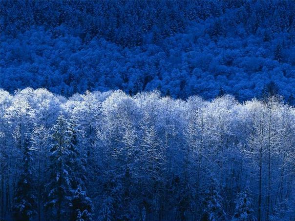 №4, Диана Самойлова, Старобалтачево №4, Диана Самойлова, Старобалтачево
