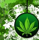 Фотография Егор Боровиков
