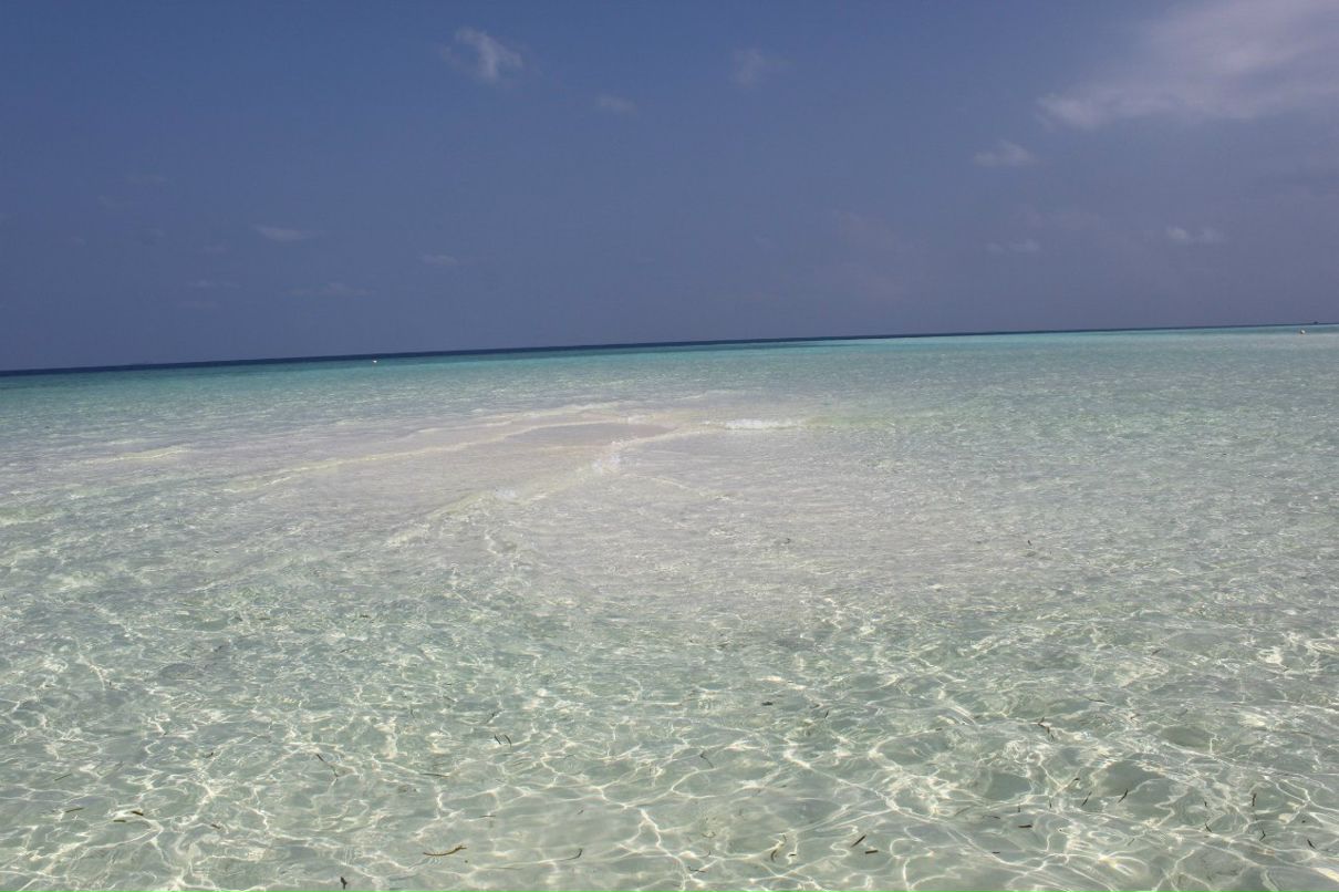 Настя Мусийчук | Алматы