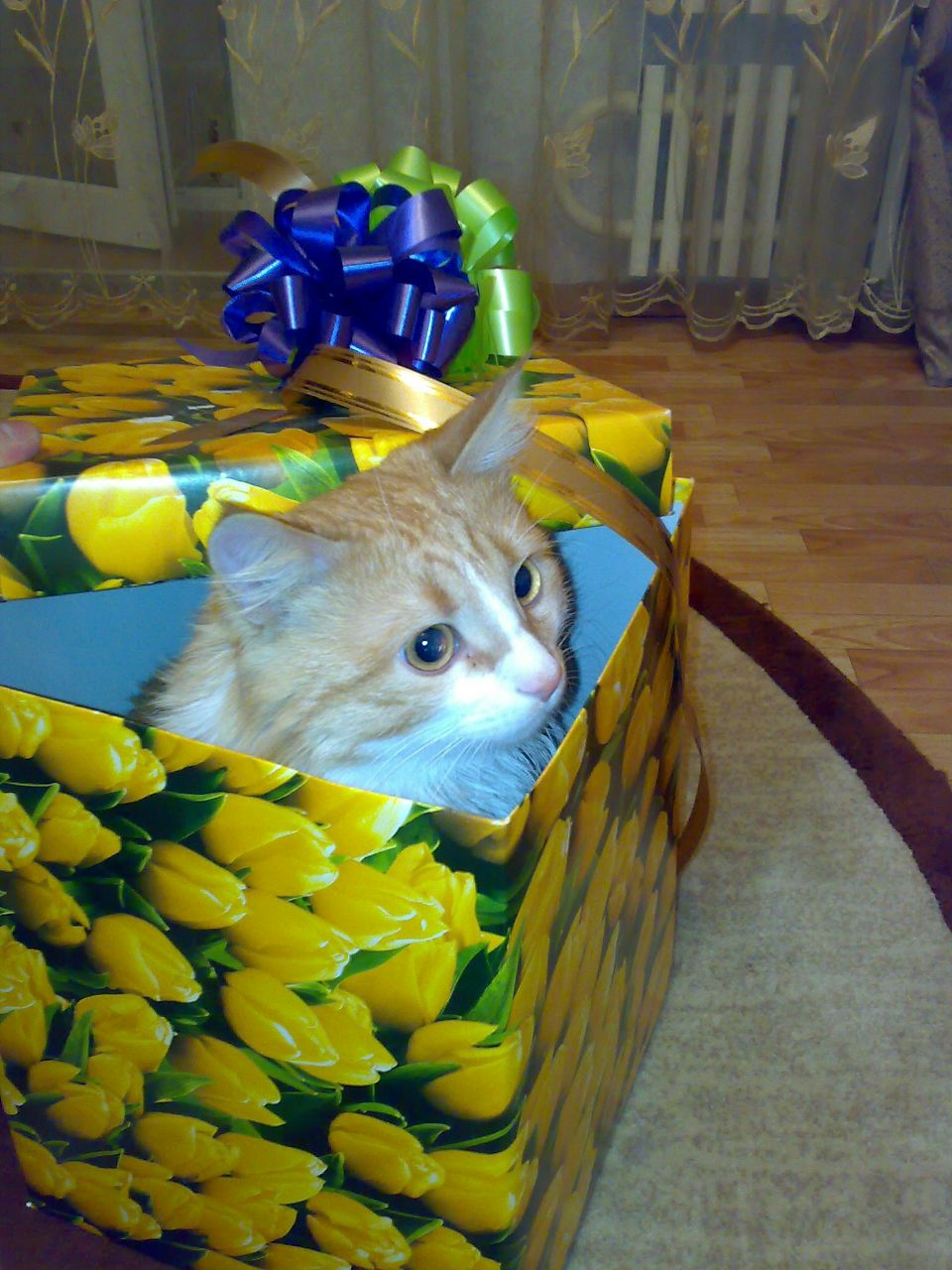 Зинаида Геращенко | 