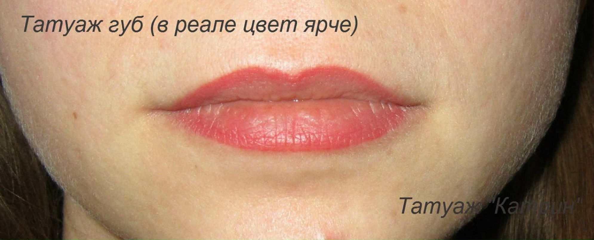 Екатерина Ящерица | Киев