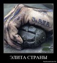 Фотография Одинцова Алексея