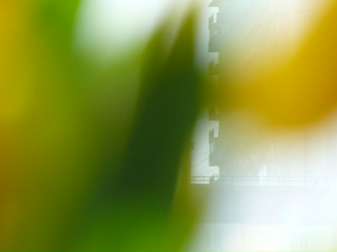 Вера Веланская | Санкт-Петербург