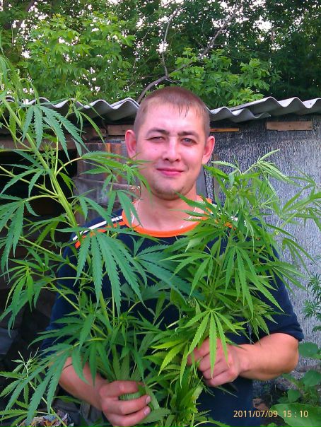 №10, Андрей Штогрин №10, Андрей Штогрин