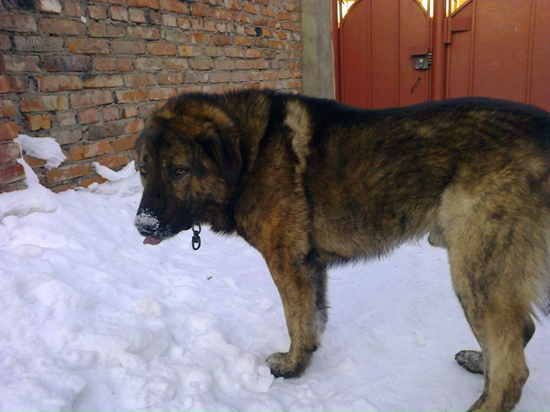 Hayk Mardanyan | Москва