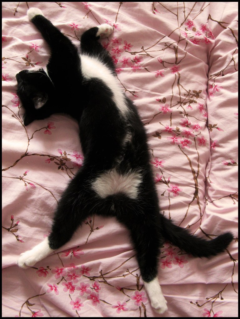 Октябрина Февралева | Пенза