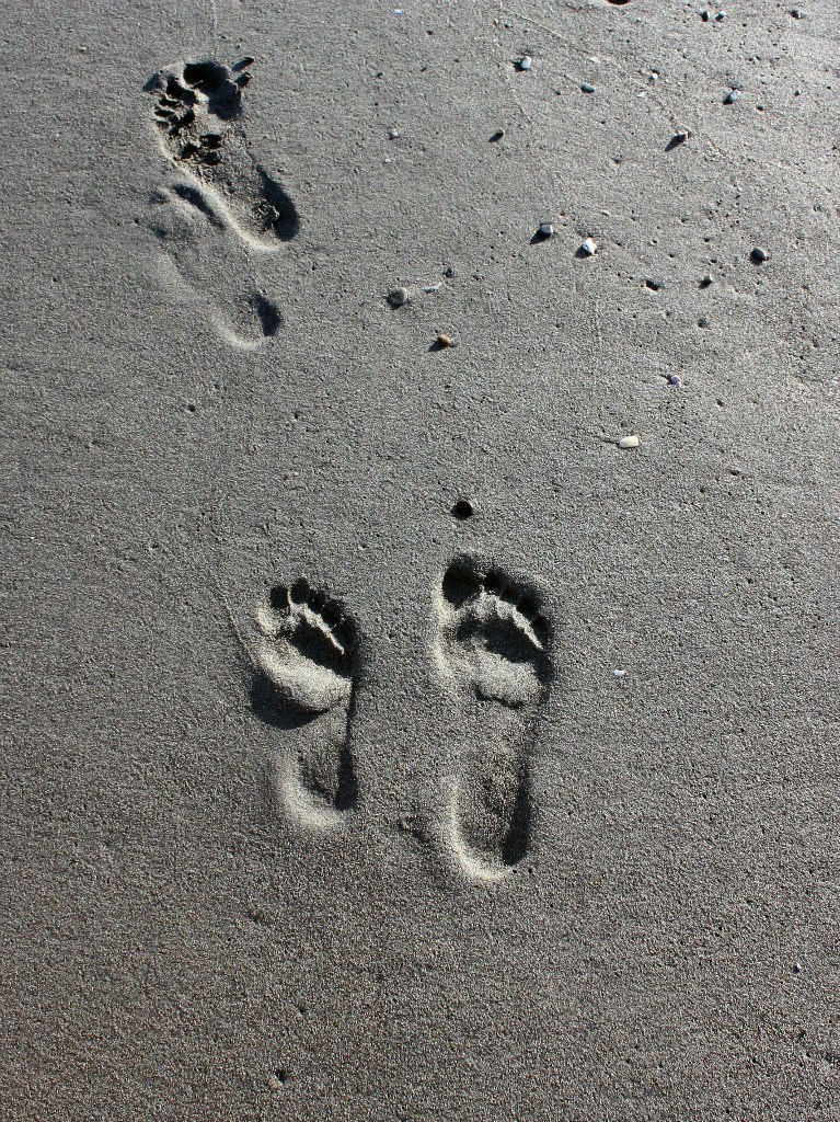 Елена Жандарук | Москва