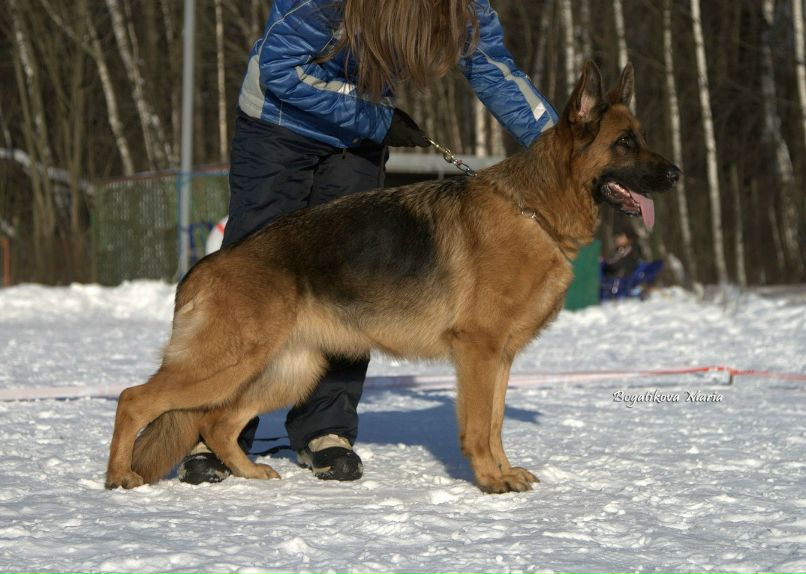 Вика Петлина | Москва