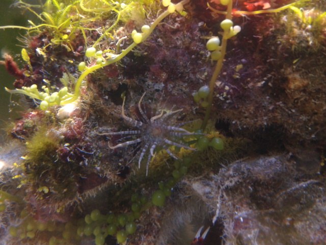 Сергей Зоря | Харьков