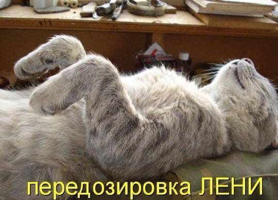 Серёга Николаев | Среднеуральск