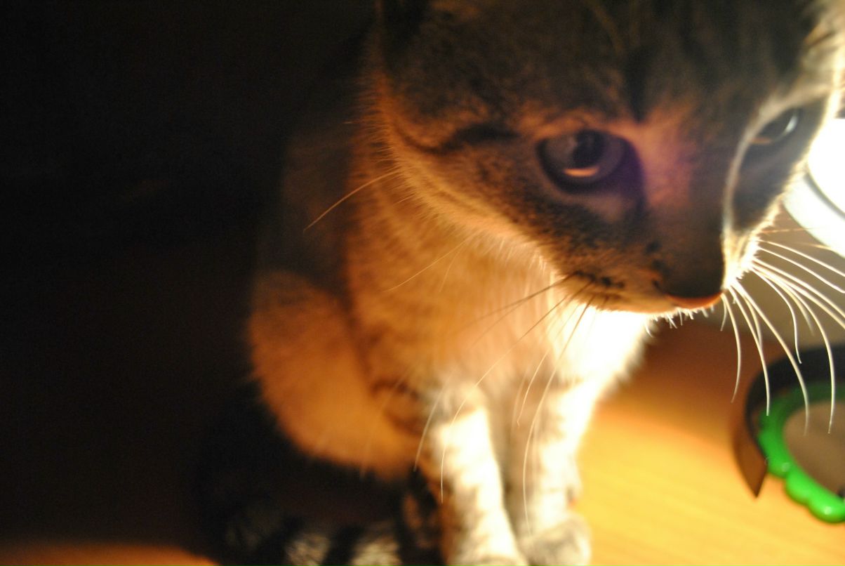 Айка Вьюга | Уфа