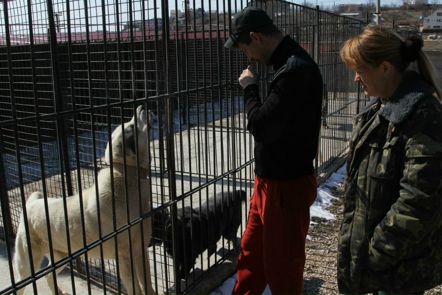 №67, Руслан Гордеев, Львов №67, Руслан Гордеев, Львов