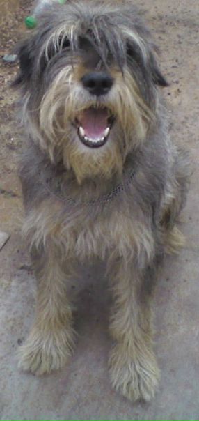 №95, Юлия Бондарева №95, Юлия Бондарева