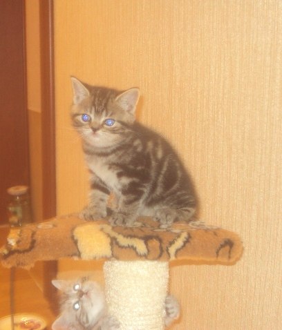 Алина Рыжова | Энгельс