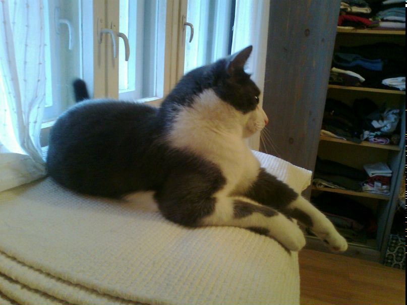 Vavan Juzzi & | Санкт-Петербург