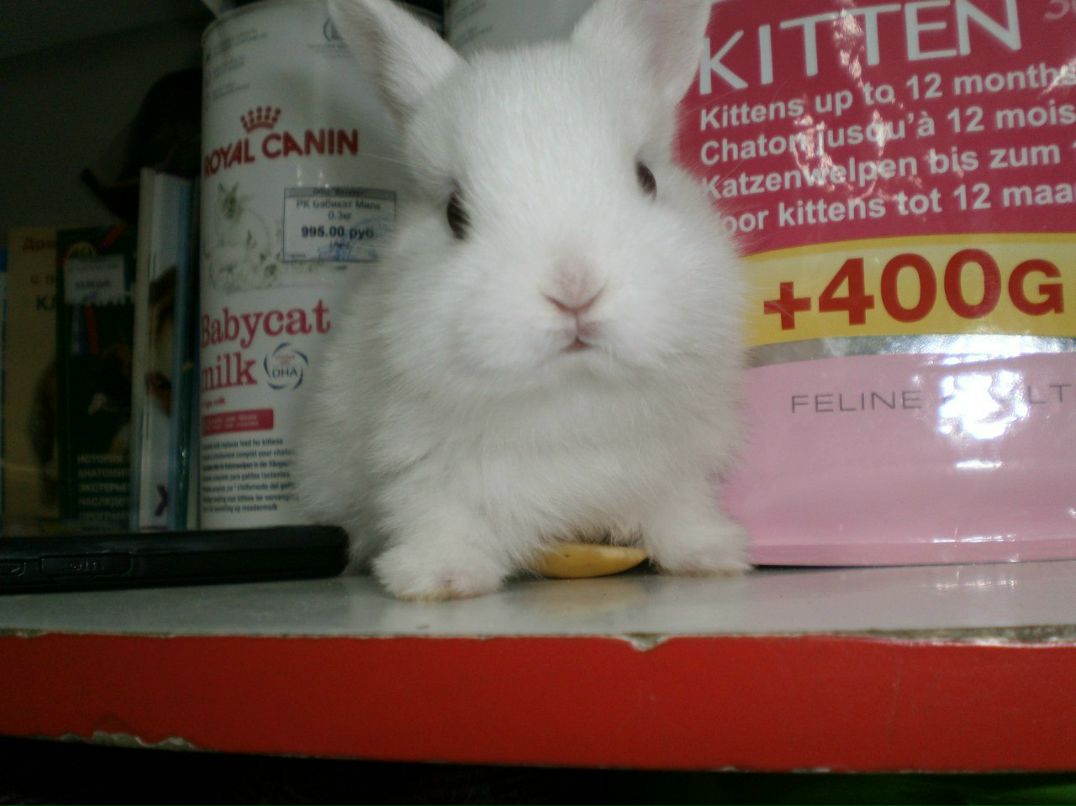 Вера Лыскина | Таганрог