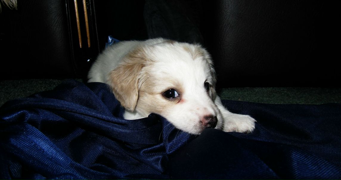 №106, Иван Кувшинов, 34 года, Энгельс №106, Иван Кувшинов, 34 года, Энгельс