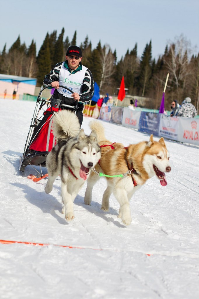 Наталья Гончарова | Кемерово