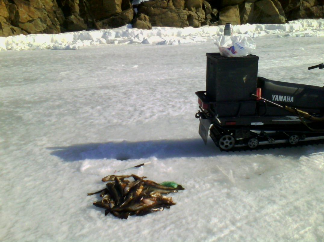 Юрий Березин | Умба