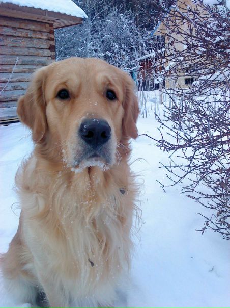 №138, Михаил Лопатин, Екатеринбург №138, Михаил Лопатин, Екатеринбург