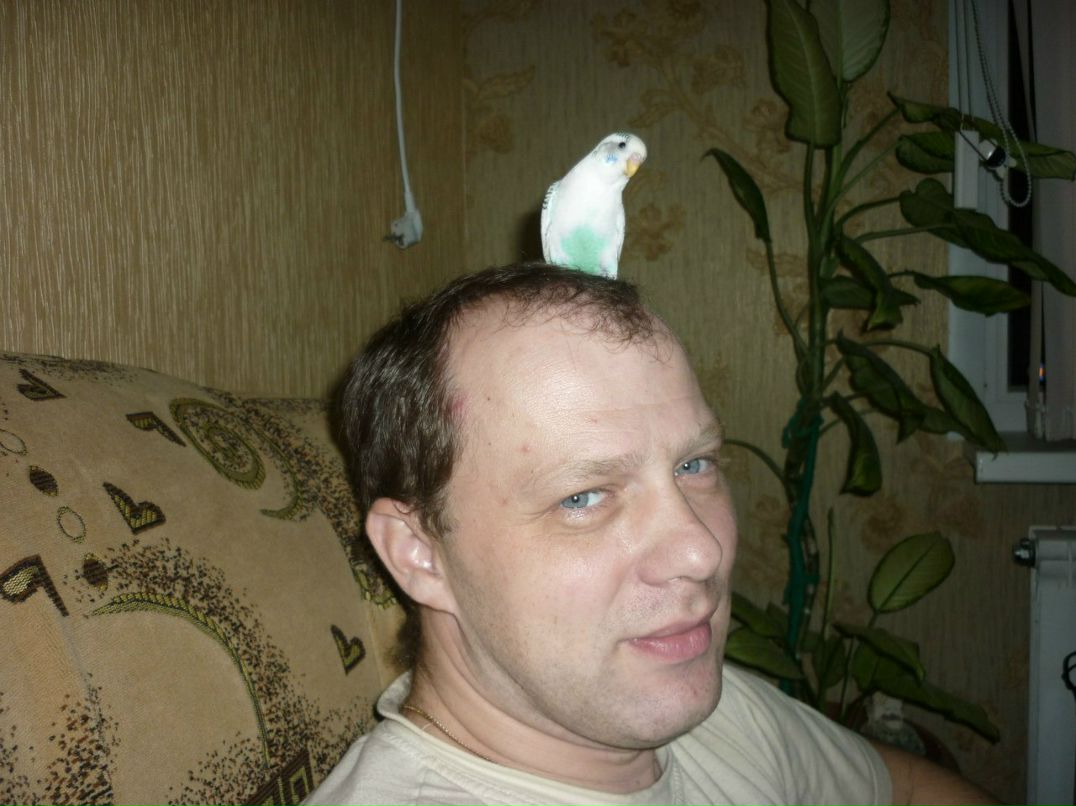 Сергей Карнаух | Краснодар