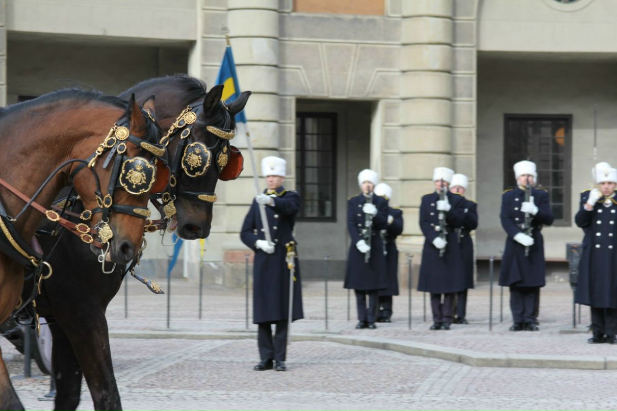 Таня Ляховкина | Санкт-Петербург