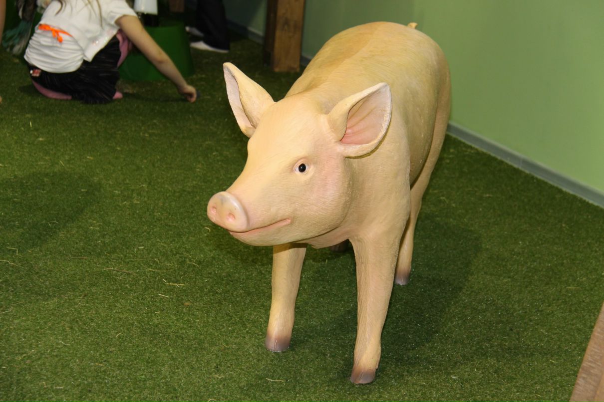 Руслана Афанасьева | Санкт-Петербург