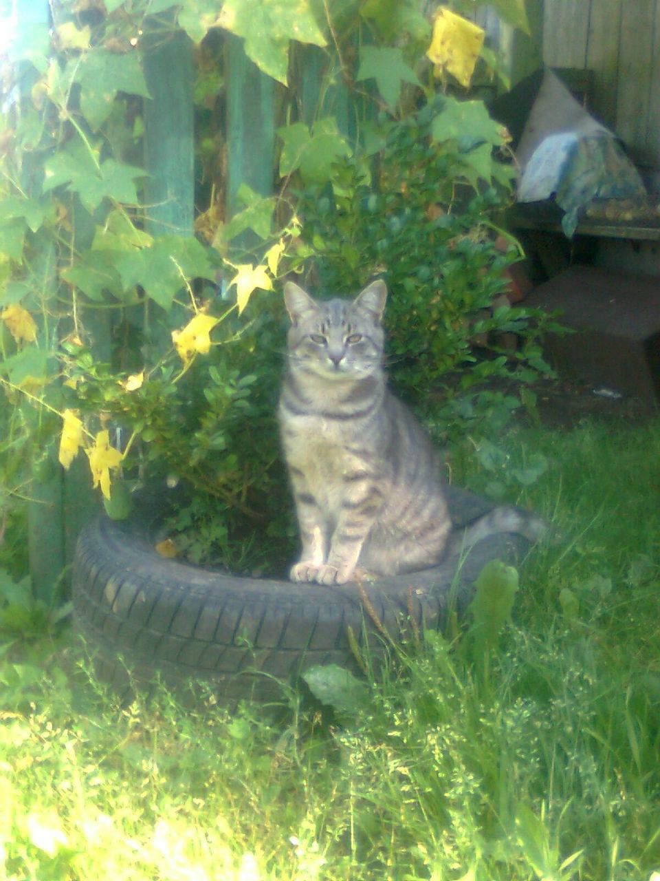 Дмитрий Шуляк | Минск