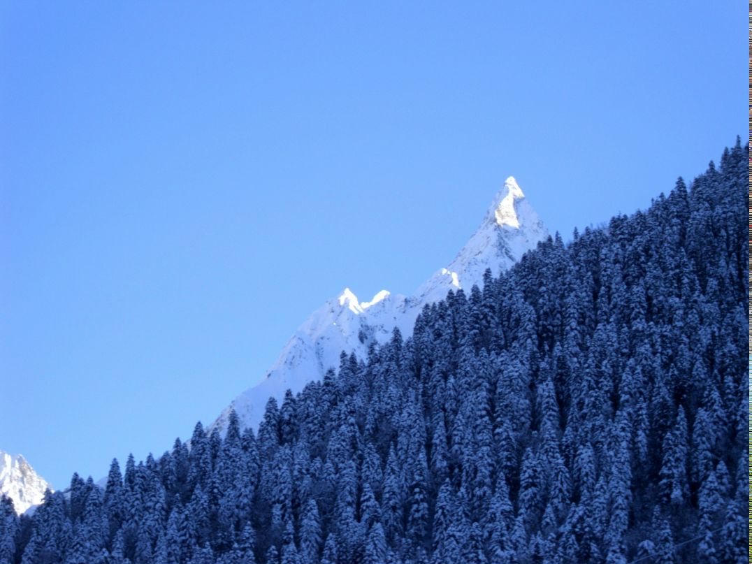 Михаил Желтков | Пенза