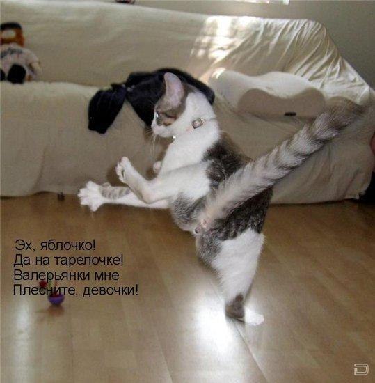 Оксана Белова | Санкт-Петербург