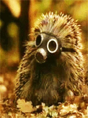 Еж Колючий | 