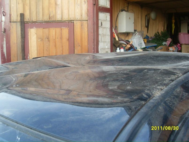 Сергей Шкамарда | Череповец