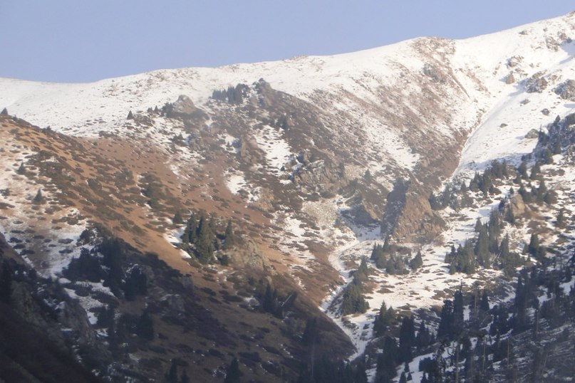 Александр Штетинг | Москва