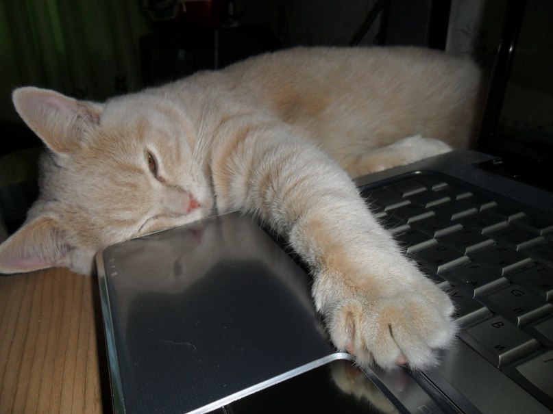 Владимир Петров | Москва