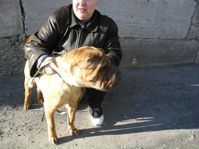 Ирина Даниловская | Новосибирск