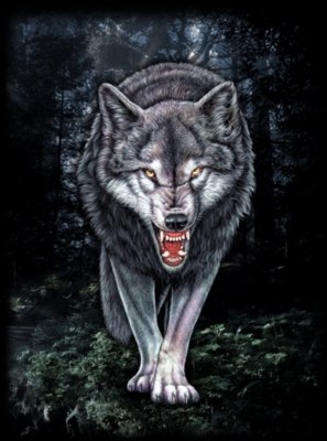 Роман Макарский | Хабаровск