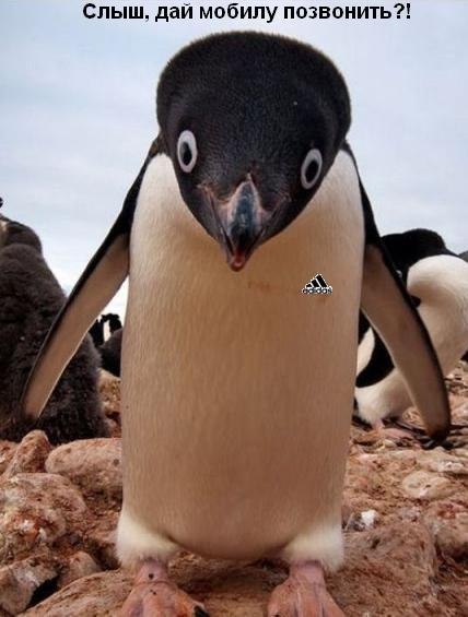 Антон Краевский | Днепр (Днепропетровск)