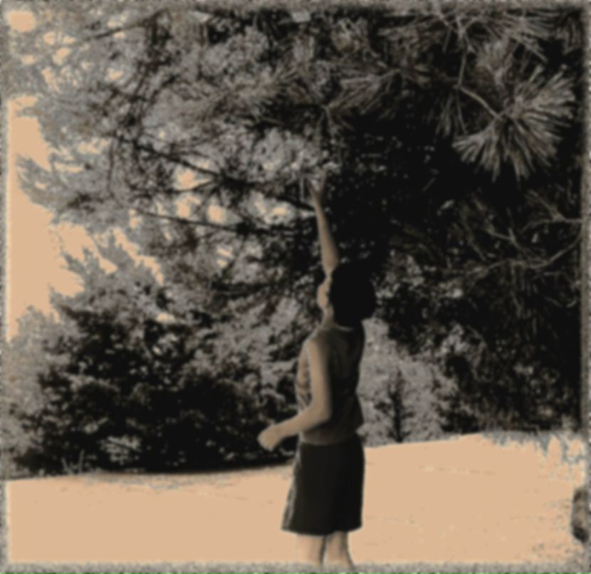 Павел Слободчиков | Хайфа