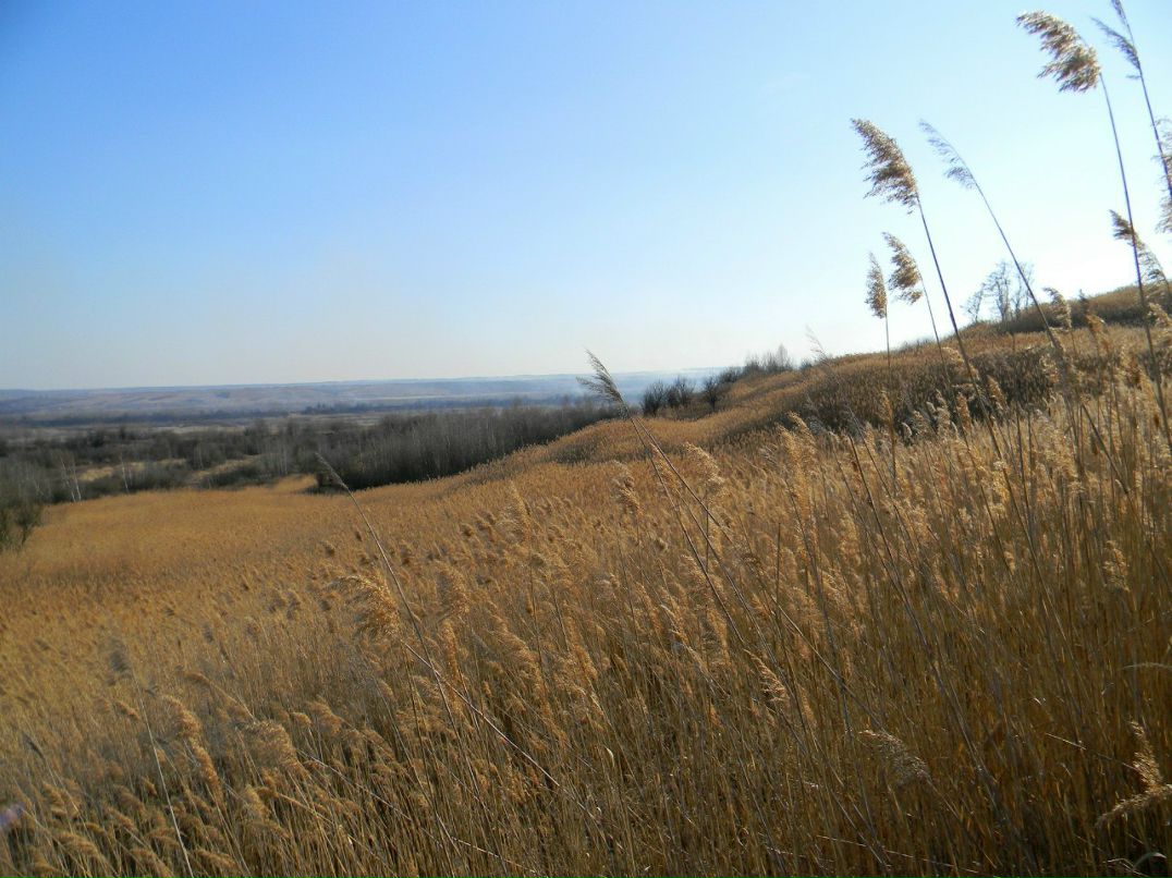 Ірина Гірка | Киев