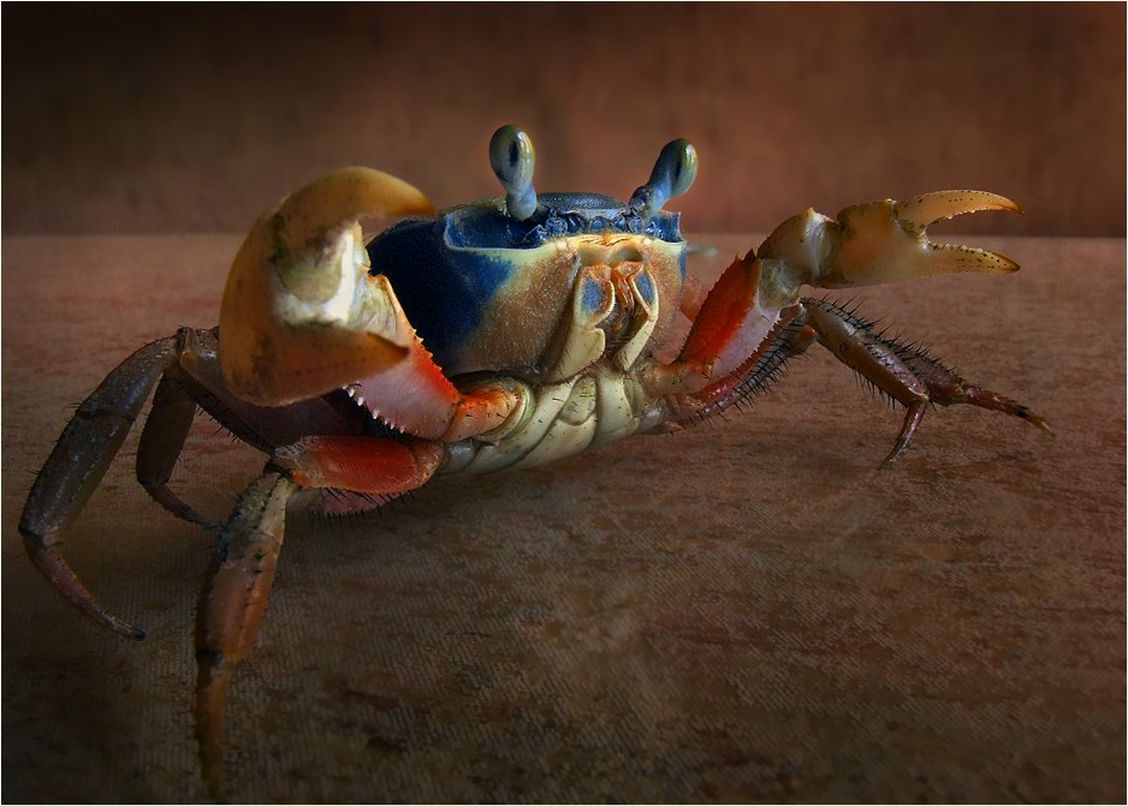 Семен Лобов | Стерлитамак