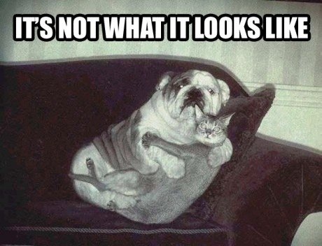 Татьяна Викторовна | 