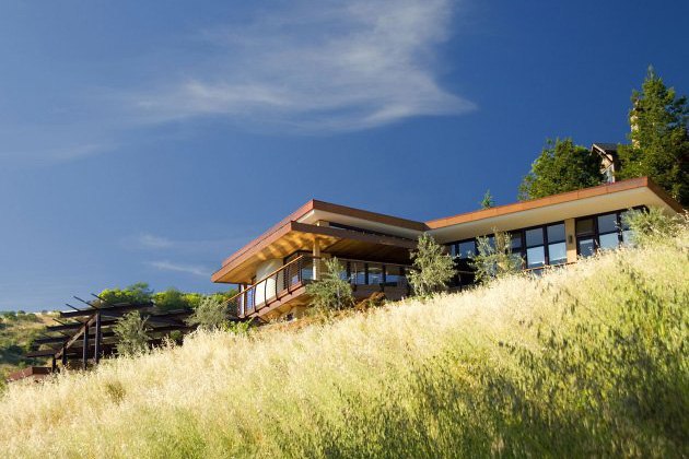 Николай Добринский | Санкт-Петербург