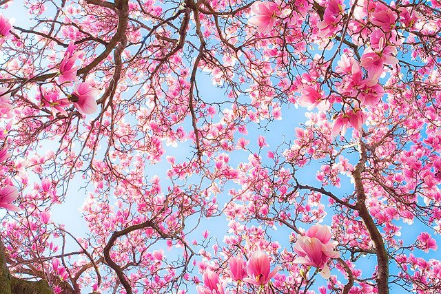 Евгения Гагарина | Муромцево