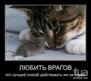 Фотография Тамбовцевой Татьяны