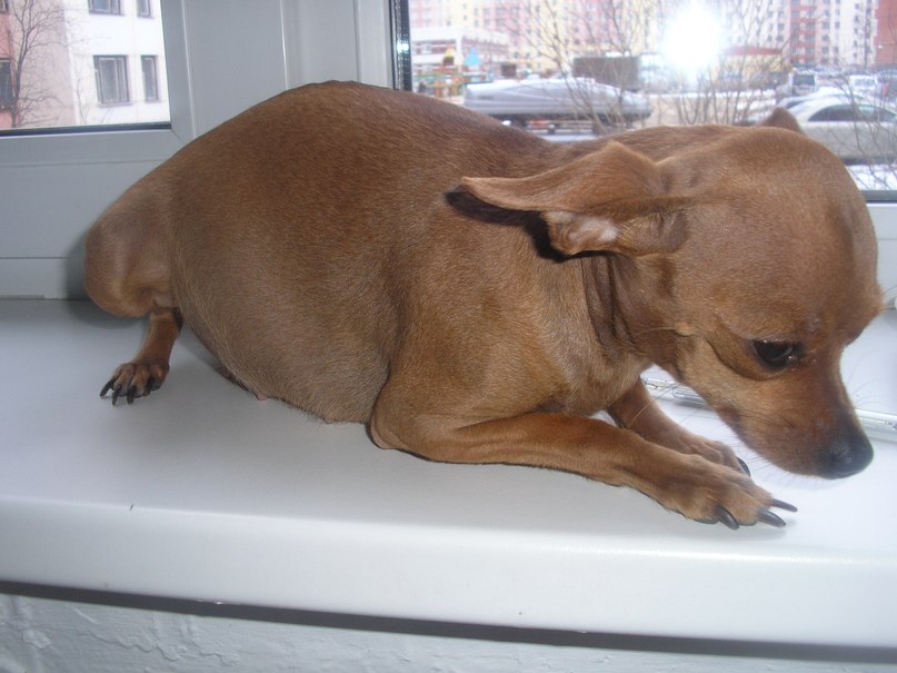 Лёха Иванов | Новый Уренгой