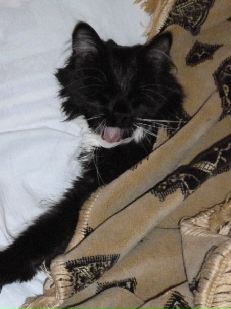 №56, Ирина Марийченко, 40 лет, Днепр (Днепропетровск) №56, Ирина Марийченко, 40 лет, Днепр (Днепропетровск)