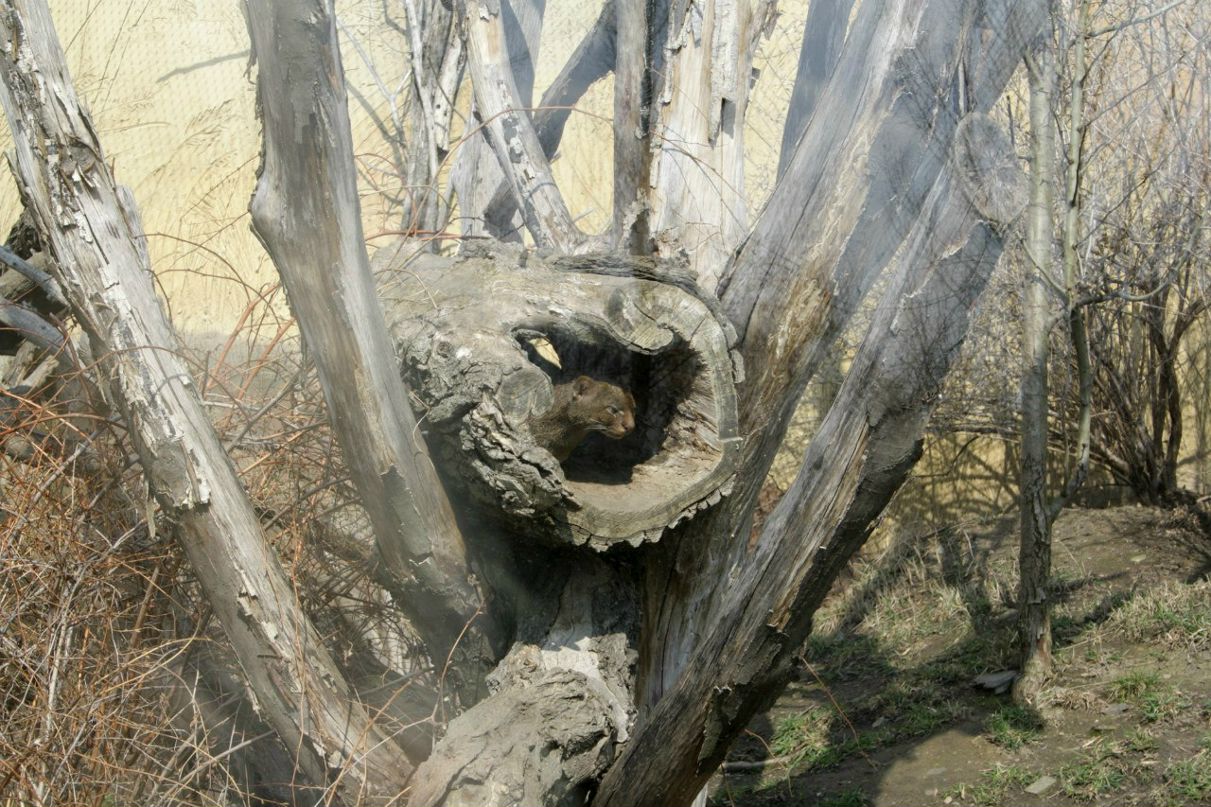 Евгения Прок | Санкт-Петербург