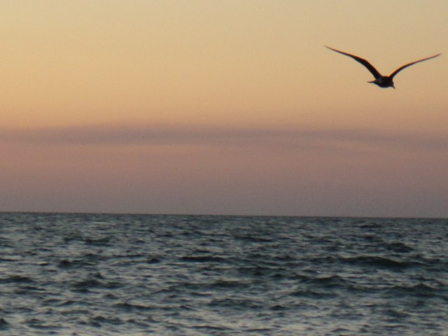 Ирина Плужникова | Белгород