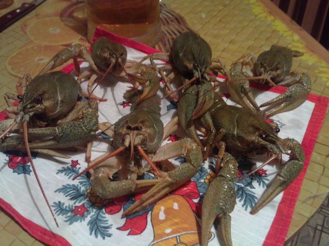 Сергей Валик | Санкт-Петербург